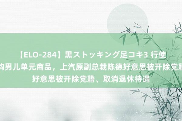 【ELO-284】黒ストッキング足コキ3 行使职务便利高价采购男儿单元商品，上汽原副总裁陈德好意思被开除党籍、取消退休待遇