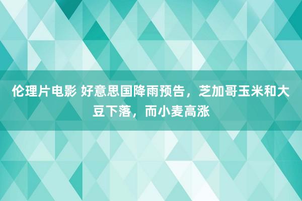 伦理片电影 好意思国降雨预告，芝加哥玉米和大豆下落，而小麦高涨