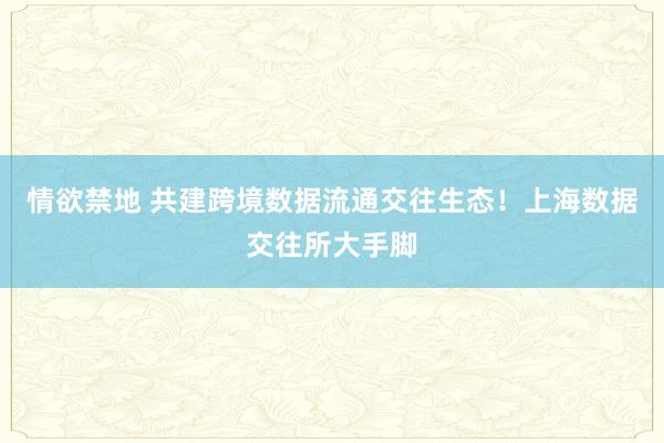 情欲禁地 共建跨境数据流通交往生态！上海数据交往所大手脚
