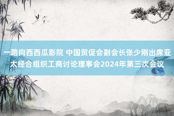一路向西西瓜影院 中国贸促会副会长张少刚出席亚太经合组织工商讨论理事会2024年第三次会议
