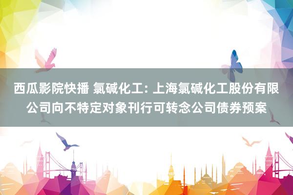 西瓜影院快播 氯碱化工: 上海氯碱化工股份有限公司向不特定对象刊行可转念公司债券预案