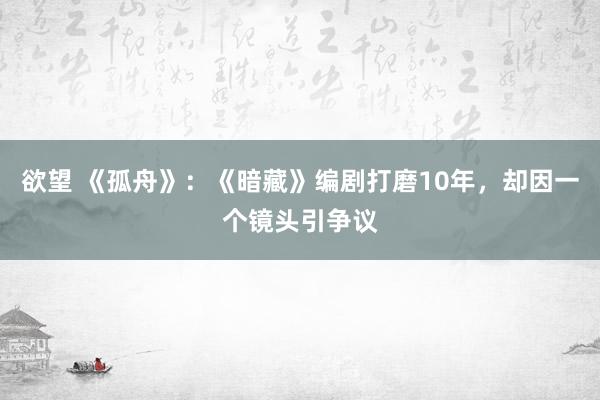 欲望 《孤舟》：《暗藏》编剧打磨10年，却因一个镜头引争议