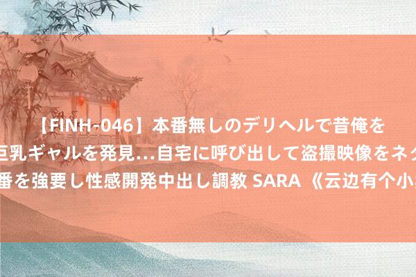 【FINH-046】本番無しのデリヘルで昔俺をバカにしていた同級生の巨乳ギャルを発見…自宅に呼び出して盗撮映像をネタに本番を強要し性感開発中出し調教 SARA 《云边有个小卖部》看似文艺片的诊治系电影！