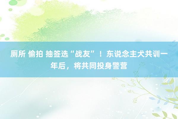 厕所 偷拍 抽签选“战友” ！东说念主犬共训一年后，将共同投身警营