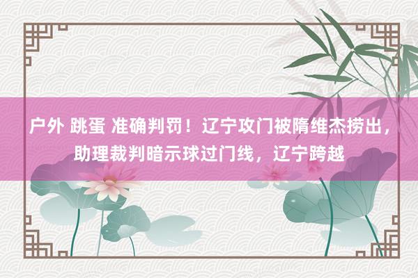 户外 跳蛋 准确判罚！辽宁攻门被隋维杰捞出，助理裁判暗示球过门线，辽宁跨越