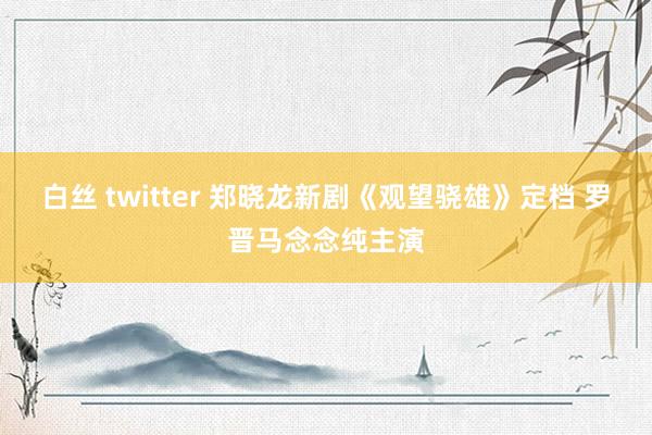 白丝 twitter 郑晓龙新剧《观望骁雄》定档 罗晋马念念纯主演