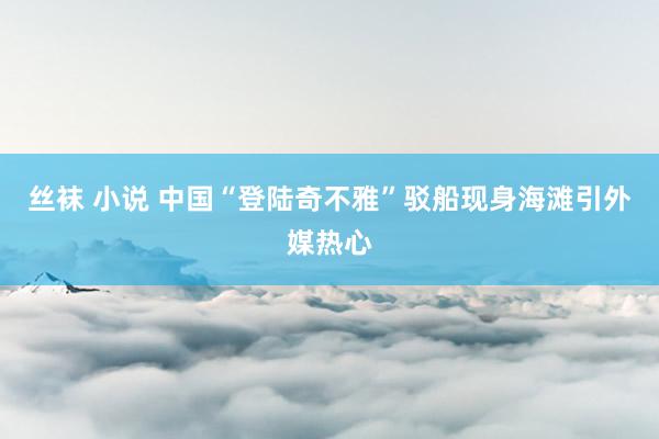 丝袜 小说 中国“登陆奇不雅”驳船现身海滩引外媒热心