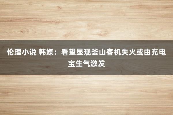 伦理小说 韩媒：看望显现釜山客机失火或由充电宝生气激发