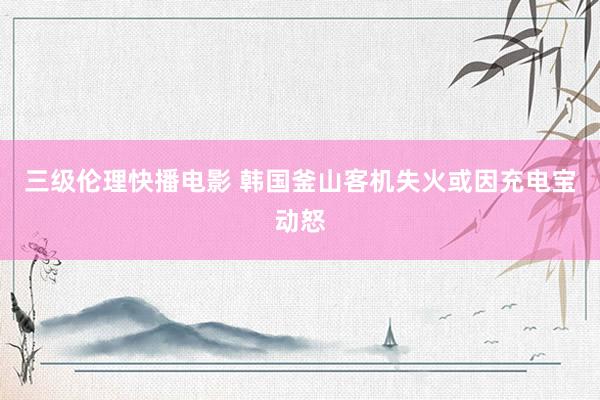 三级伦理快播电影 韩国釜山客机失火或因充电宝动怒