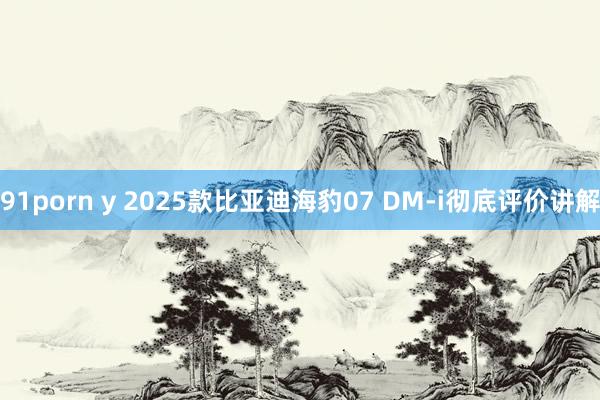 91porn y 2025款比亚迪海豹07 DM-i彻底评价讲解