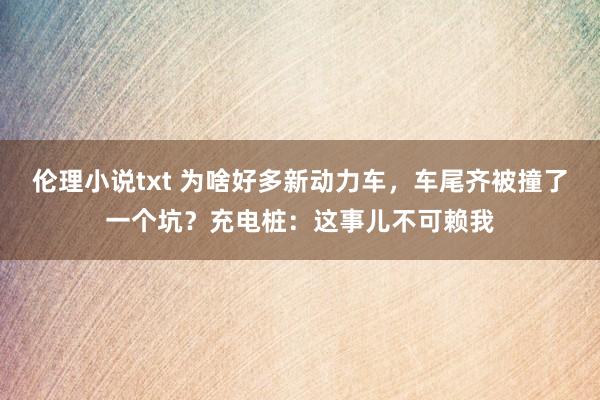 伦理小说txt 为啥好多新动力车，车尾齐被撞了一个坑？充电桩：这事儿不可赖我
