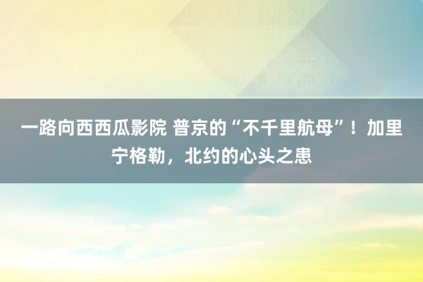 一路向西西瓜影院 普京的“不千里航母”！加里宁格勒，北约的心头之患