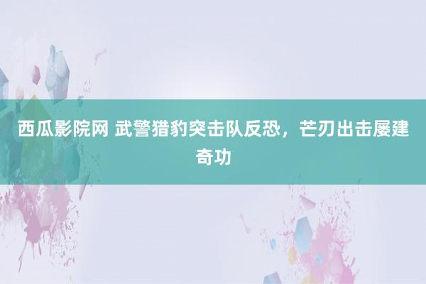西瓜影院网 武警猎豹突击队反恐，芒刃出击屡建奇功