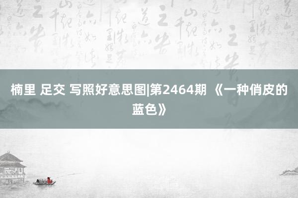 楠里 足交 写照好意思图|第2464期 《一种俏皮的蓝色》