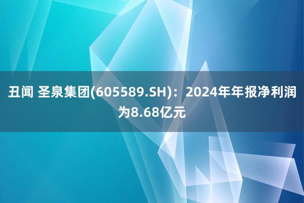 丑闻 圣泉集团(605589.SH)：2024年年报净利润为8.68亿元