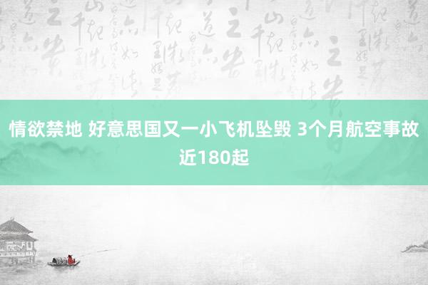 情欲禁地 好意思国又一小飞机坠毁 3个月航空事故近180起