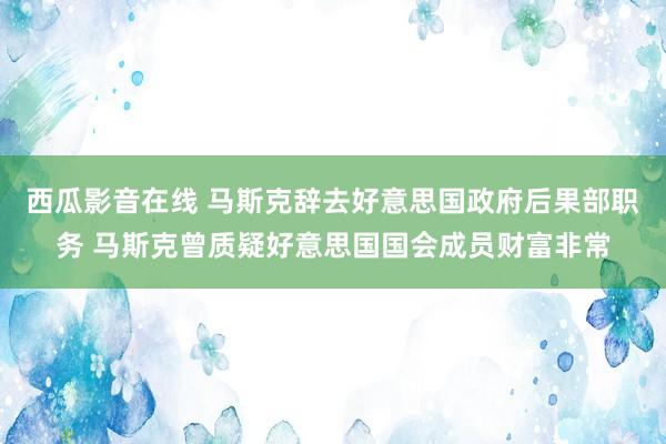 西瓜影音在线 马斯克辞去好意思国政府后果部职务 马斯克曾质疑好意思国国会成员财富