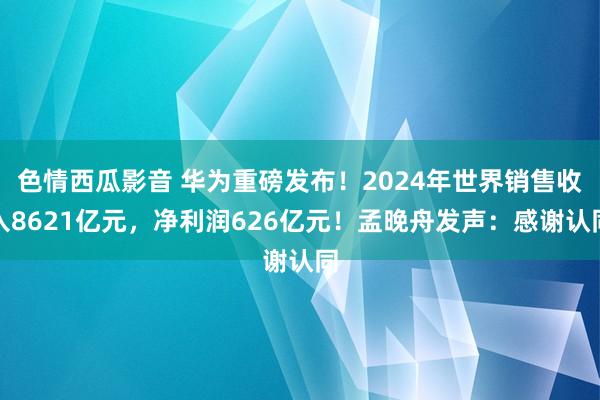 色情西瓜影音 华为重磅发布！2024年世界销售收入8621亿元，净利润626亿元