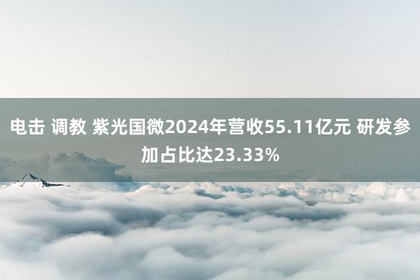电击 调教 紫光国微2024年营收55.11亿元 研发参加占比达23.33%