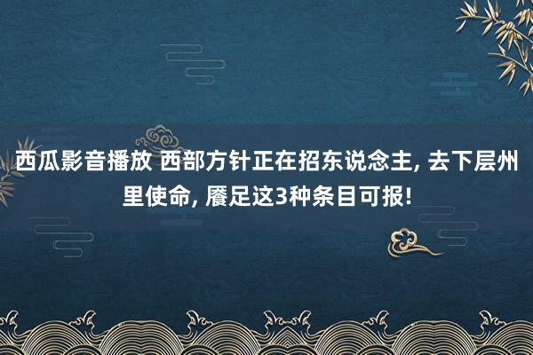 西瓜影音播放 西部方针正在招东说念主, 去下层州里使命, 餍足这3种条目可报!