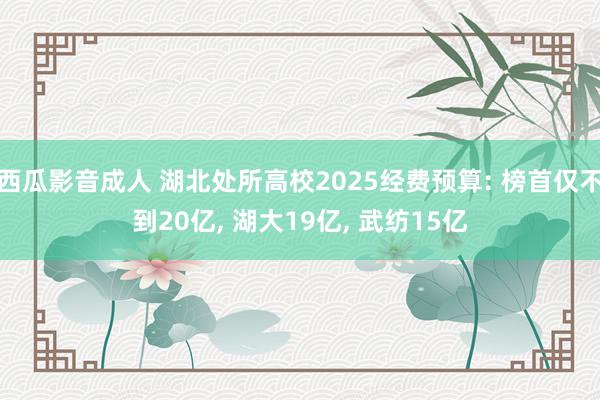 西瓜影音成人 湖北处所高校2025经费预算: 榜首仅不到20亿, 湖大19亿, 
