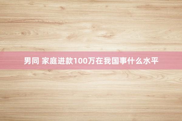 男同 家庭进款100万在我国事什么水平