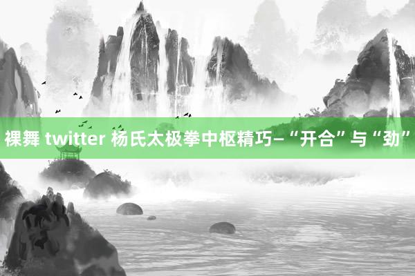 裸舞 twitter 杨氏太极拳中枢精巧—“开合”与“劲”