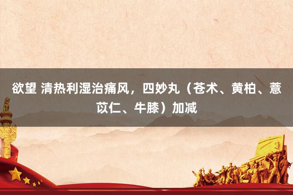欲望 清热利湿治痛风，四妙丸（苍术、黄柏、薏苡仁、牛膝）加减