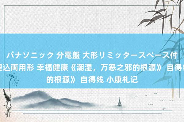 パナソニック 分電盤 大形リミッタースペース付 露出・半埋込両用形 幸福健康《潮湿，万恶之邪的根源》 自得线 小康札记