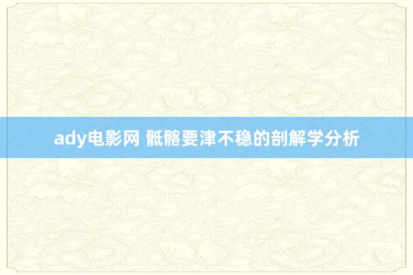 ady电影网 骶髂要津不稳的剖解学分析