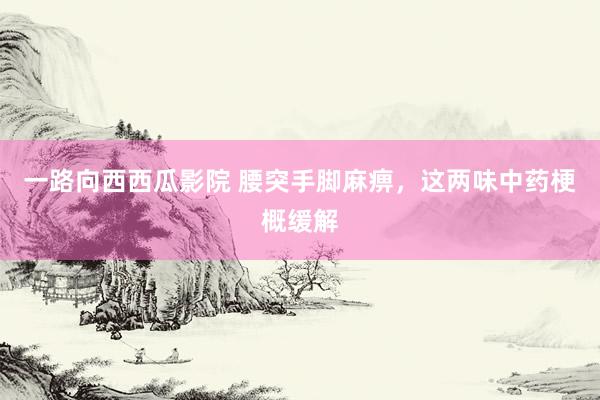 一路向西西瓜影院 腰突手脚麻痹，这两味中药梗概缓解