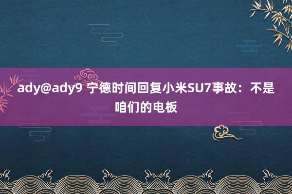 ady@ady9 宁德时间回复小米SU7事故：不是咱们的电板