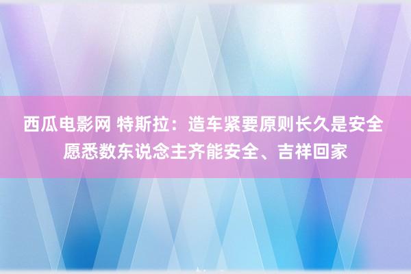 西瓜电影网 特斯拉：造车紧要原则长久是安全 愿悉数东说念主齐能安全、吉祥回家